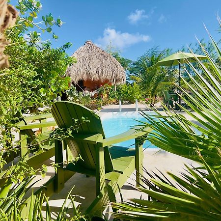 The Octopus Tropical Oasis Sint Michiel Exterior photo