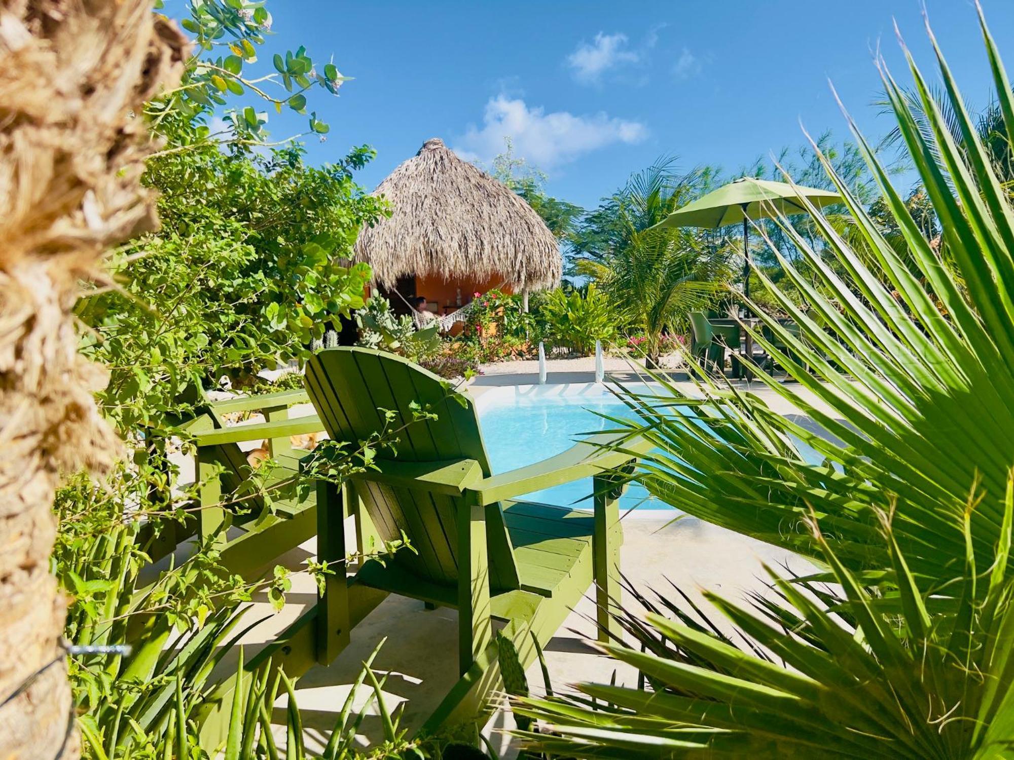 The Octopus Tropical Oasis Sint Michiel Exterior photo