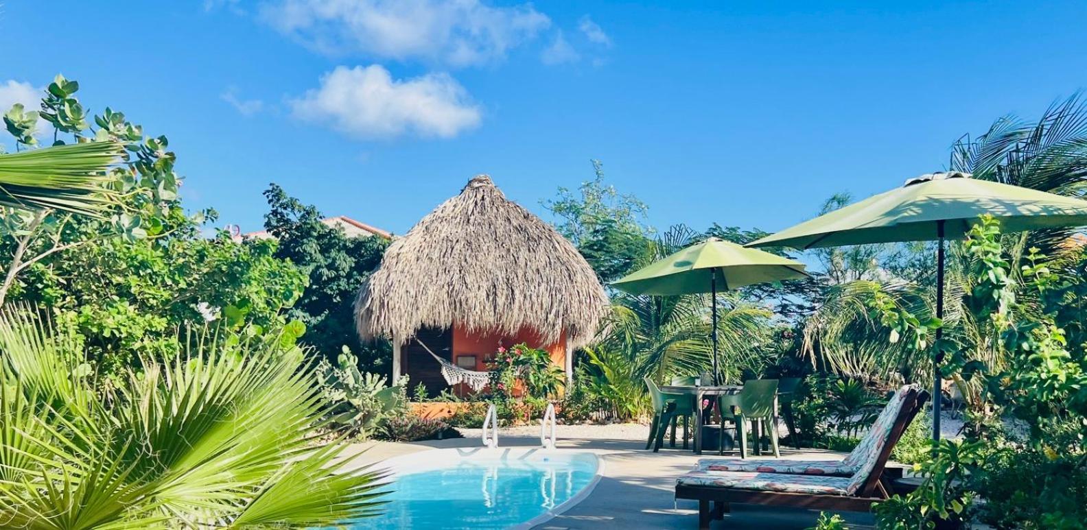 The Octopus Tropical Oasis Sint Michiel Exterior photo