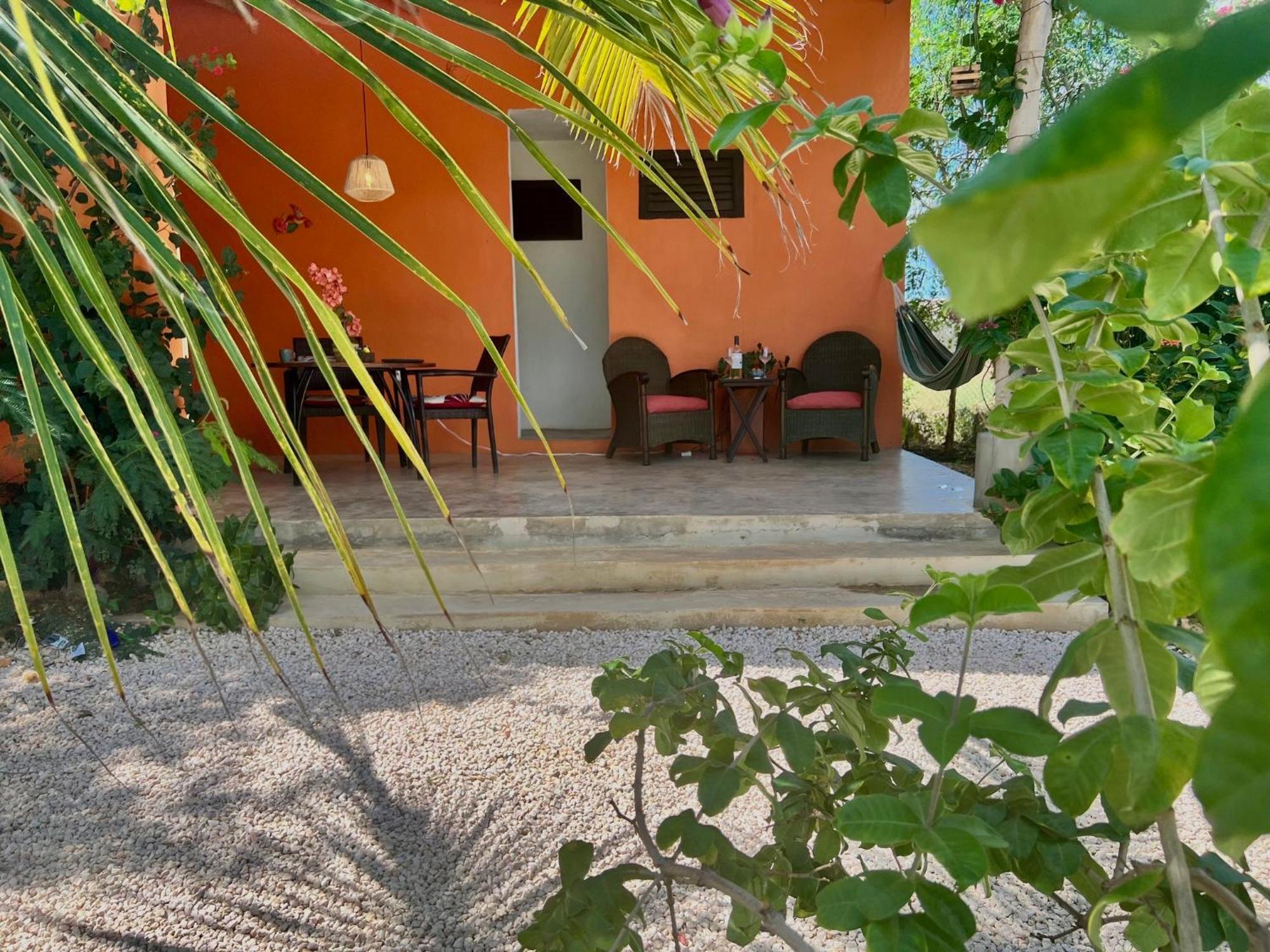 The Octopus Tropical Oasis Sint Michiel Room photo