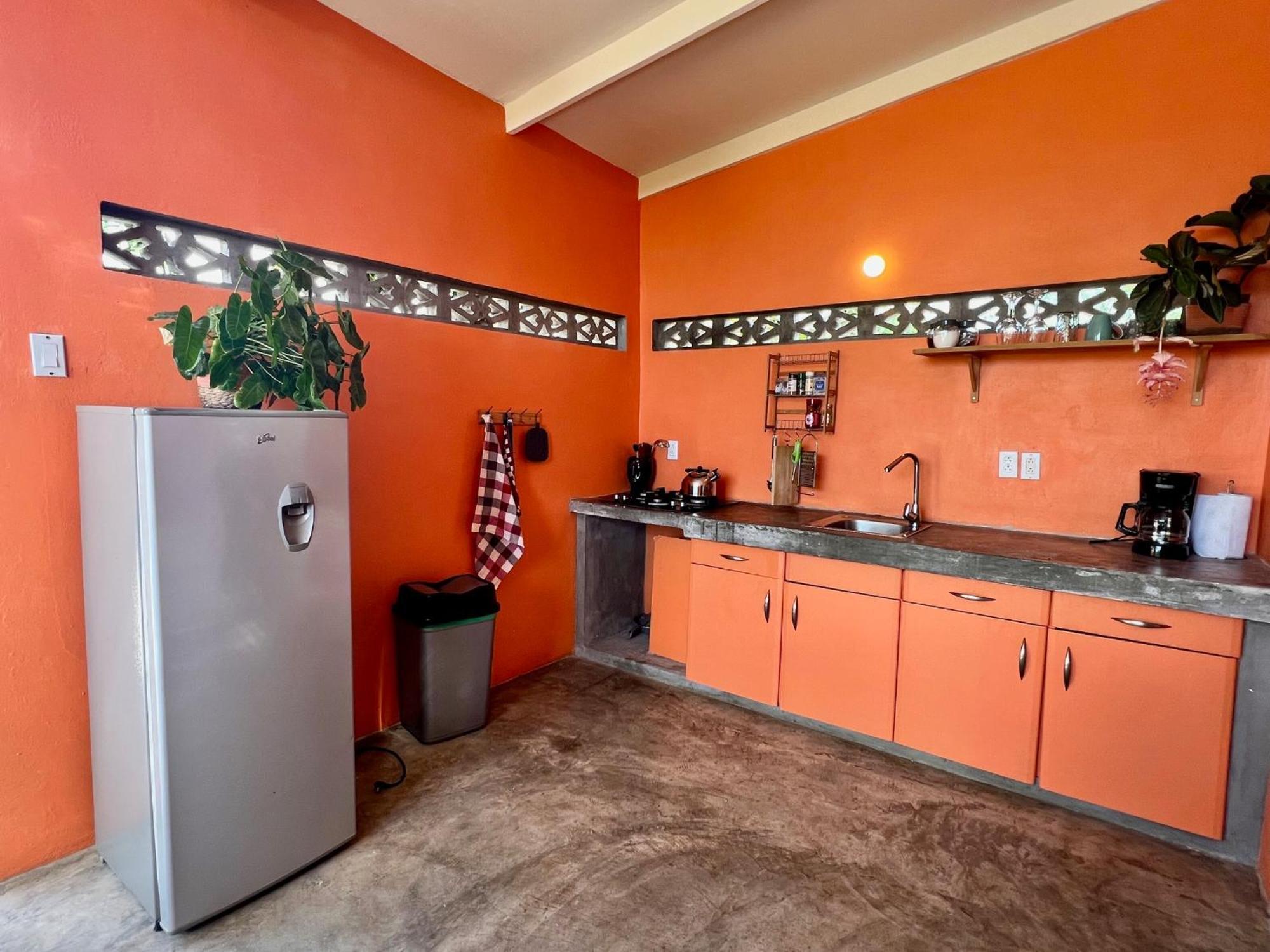 The Octopus Tropical Oasis Sint Michiel Room photo